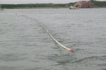 Moving the net around, you can see the fish in it.